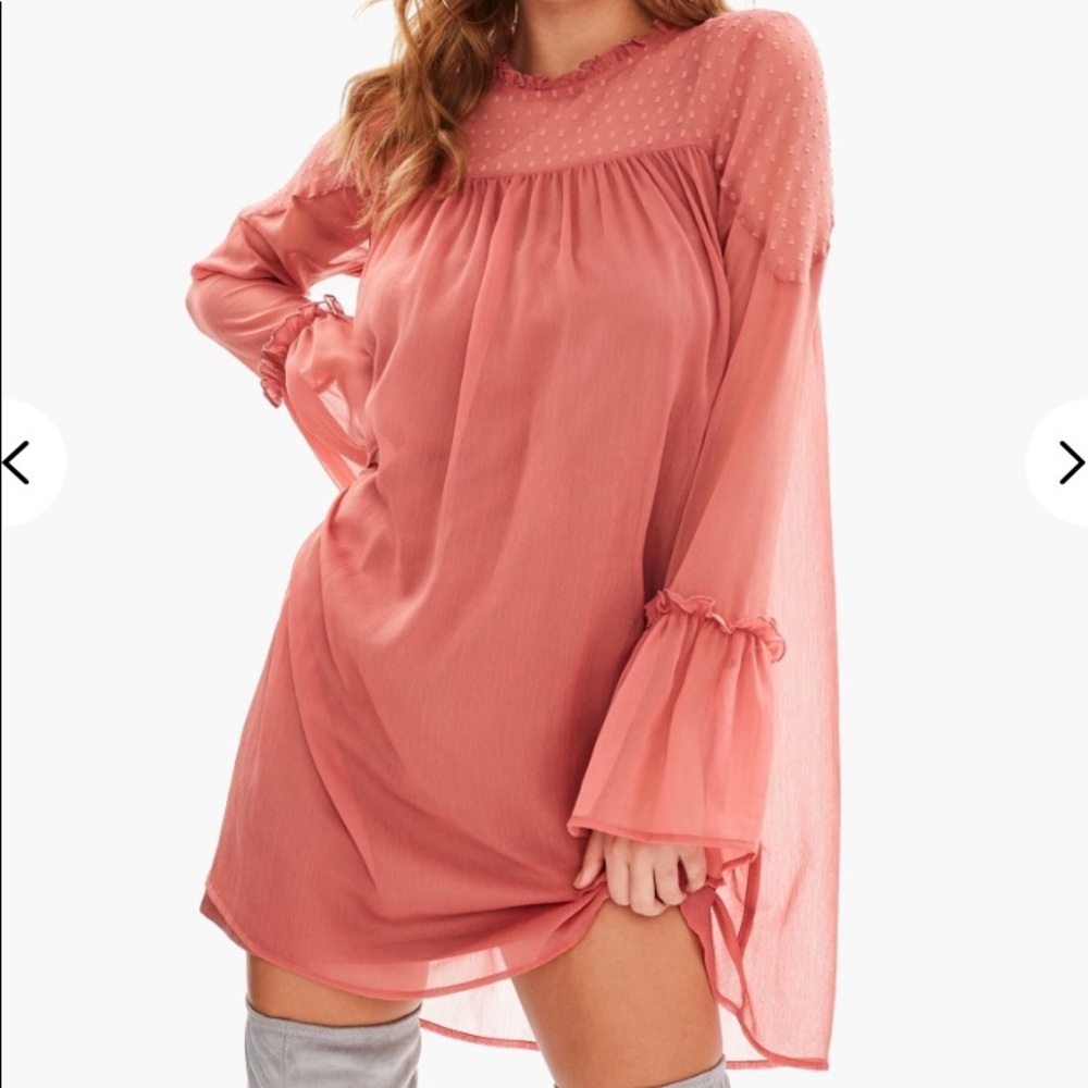Rosa dobby mesh shift dress